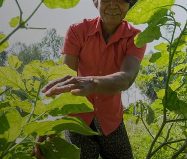 A woman in Cambodia stands in her garden