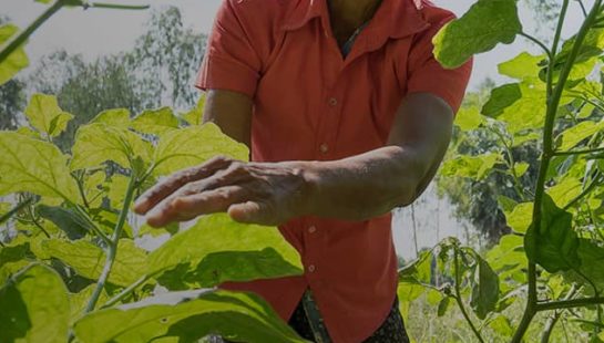 A woman in Cambodia stands in her garden