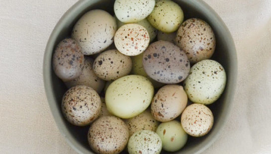 A bowl of small, pale, speckled Easter eggs