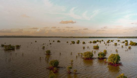 A wide shot of flood waters