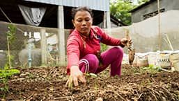 A woman crouches in her garden reaching for something
