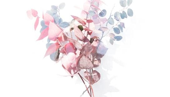 A bunch of dried flowers in shades of pink and blue