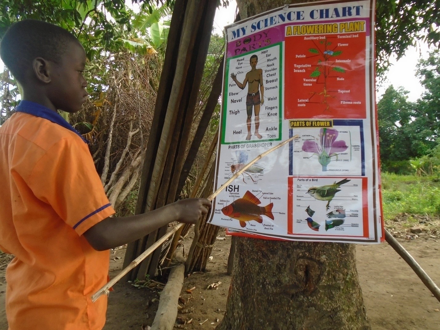 A young Ugandan boy holds a stick and points to a poster.