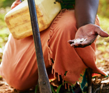 A woman squats in her garden with seeds in hand