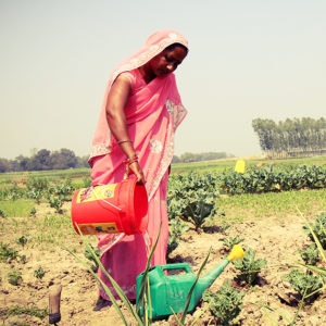 A woman waters the vegetables in her garden