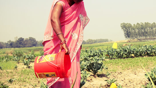 A woman waters the vegetables in her garden