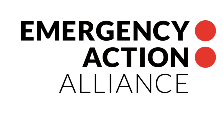 EAA Logo